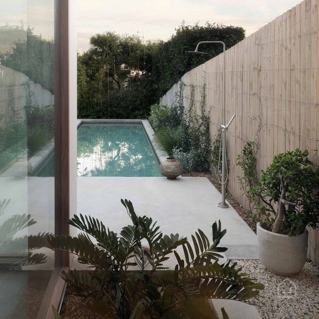 A compact, private courtyard pool viewed from inside through full-height glazing. The space features a narrow turquoise swimming pool, a pale concrete terrace, a tall timber privacy fence, an outdoor shower, gravel landscaping, and lush potted and planted greenery. The design is calm and minimalist with warm natural materials and strong indoor-outdoor connection.