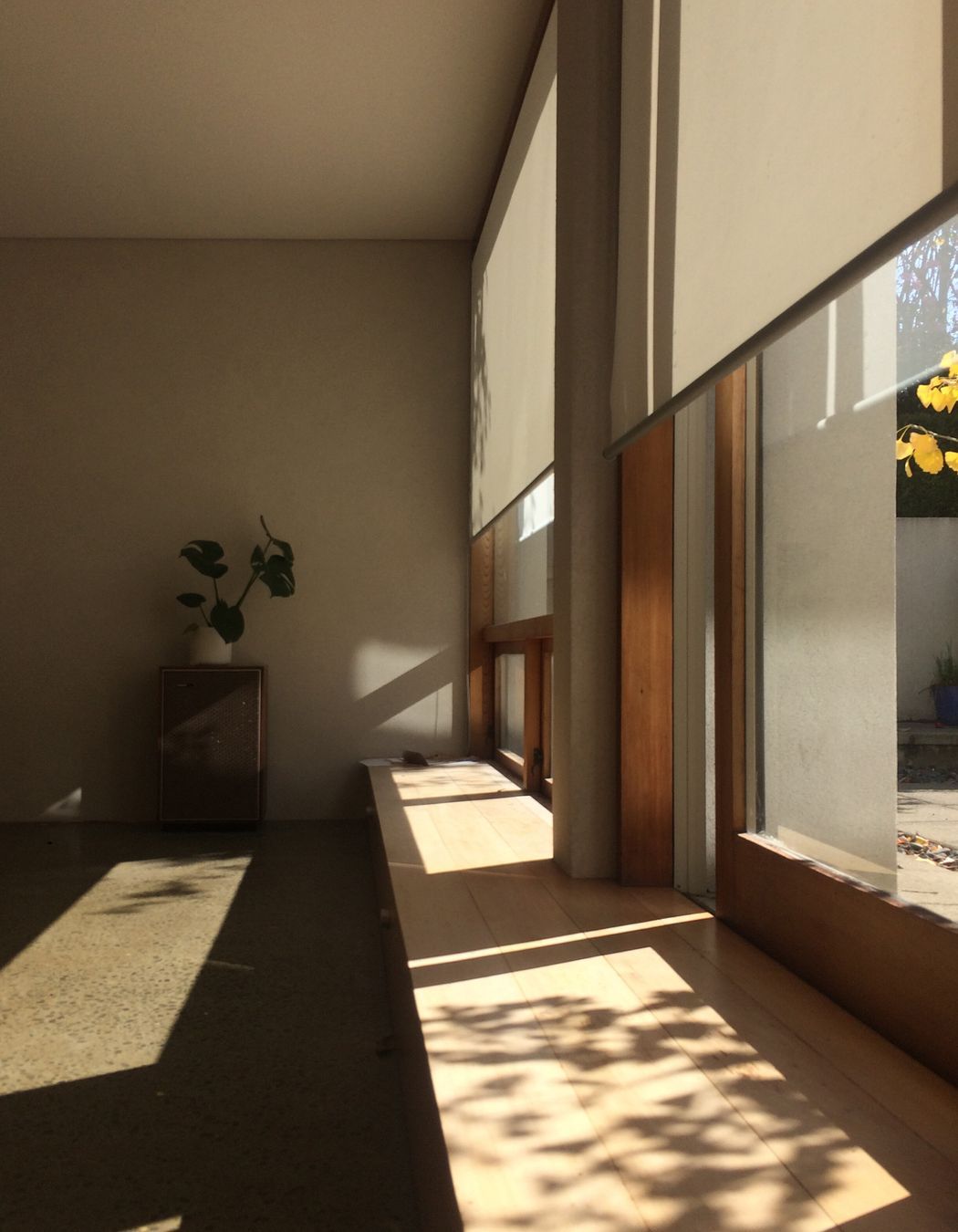 two houses and a shared garden
