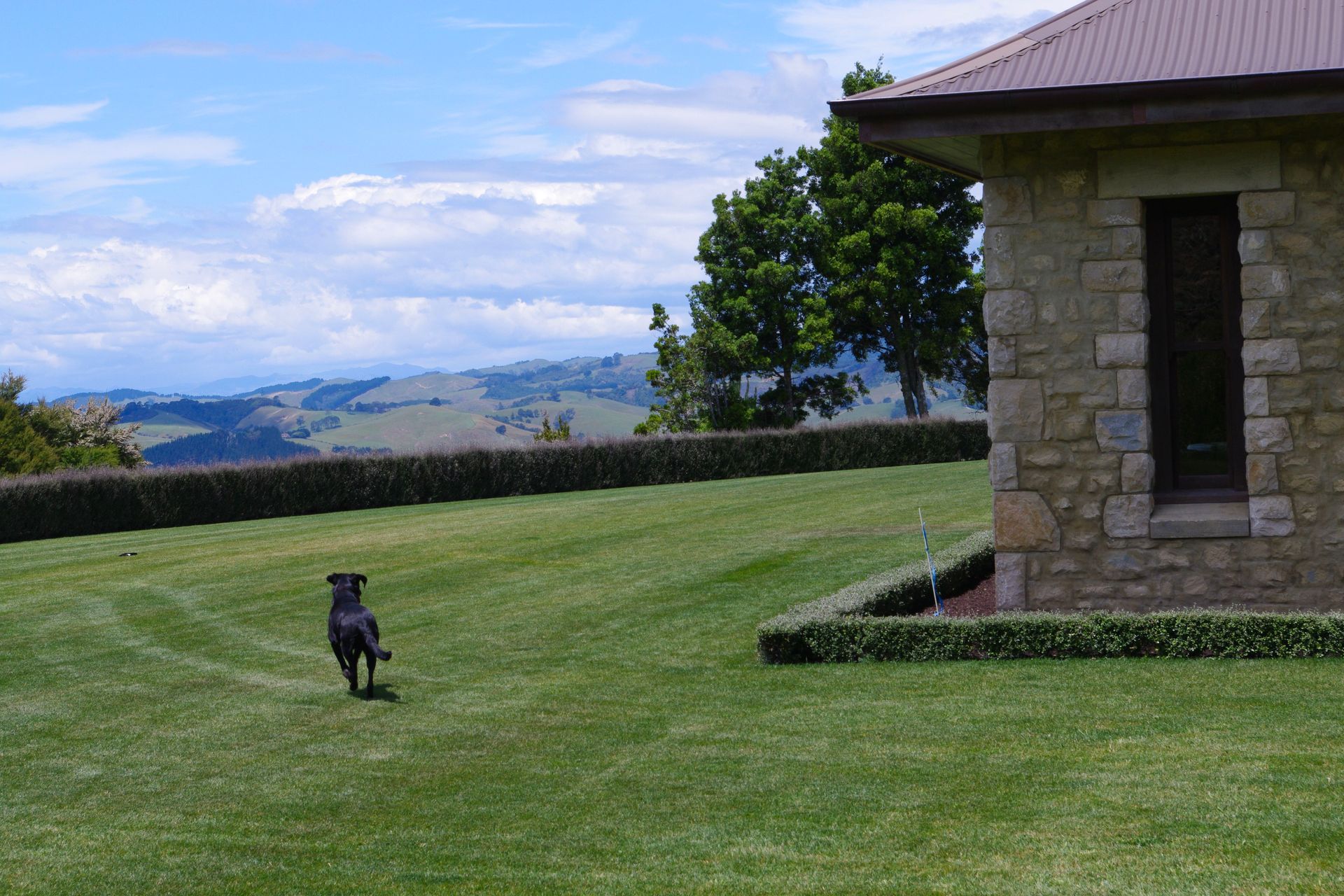 AFTER - safe backyard for kids and pets without impacting the stunning rural views.