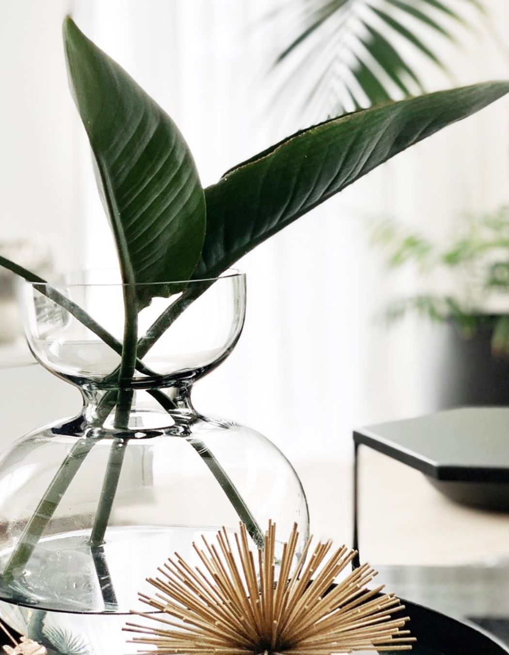 Contemporary New Build