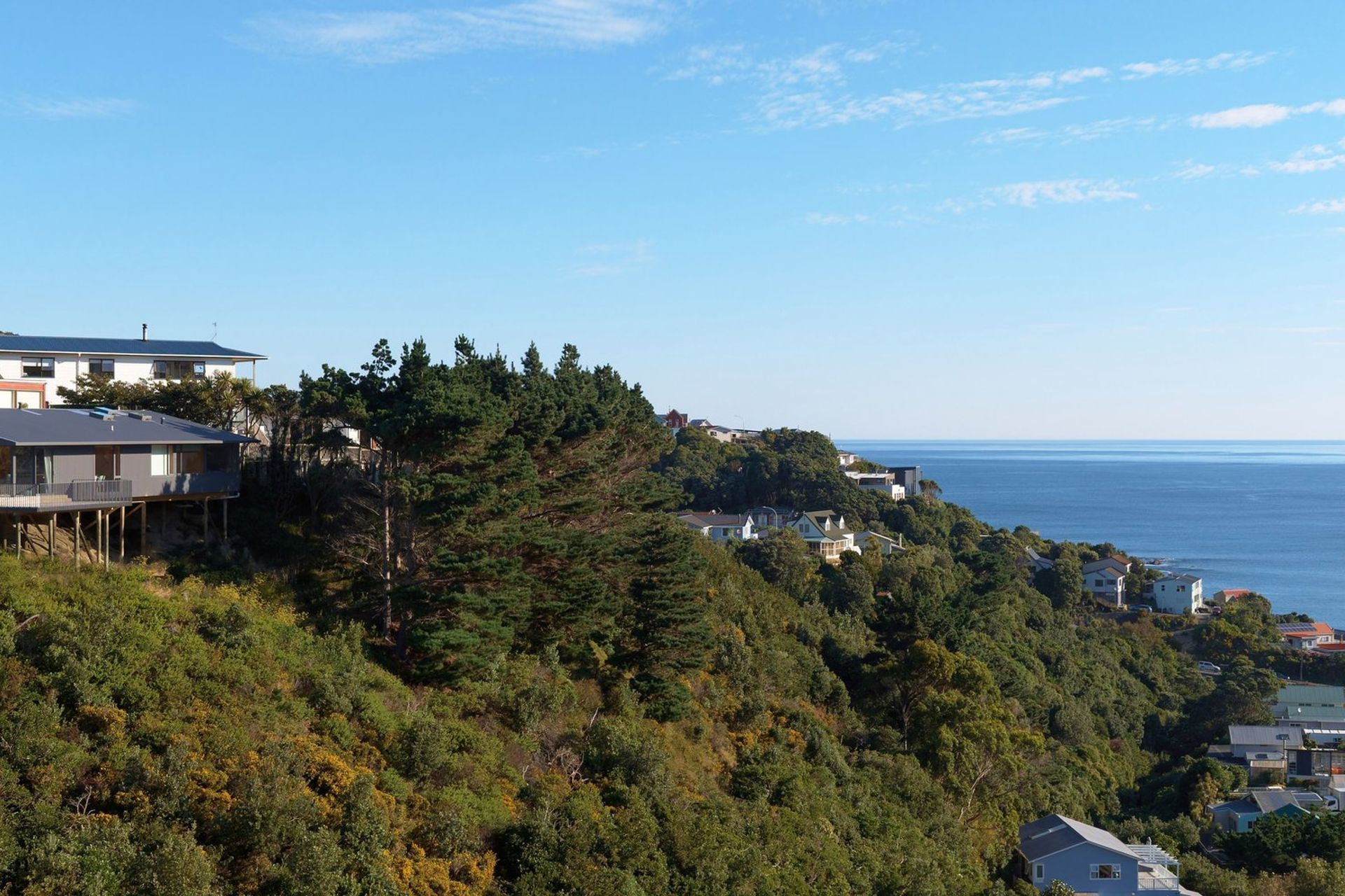 wellingtonresidentialarchitectssteepsiteinfill.jpg