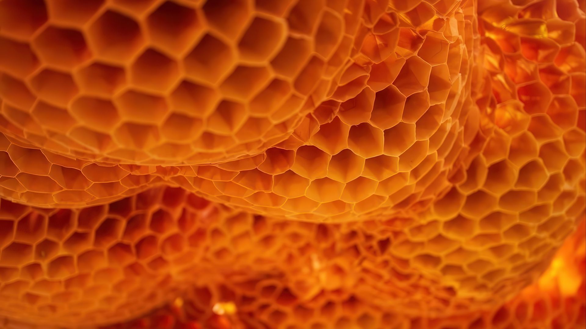 Comvita Airport Duty Free video