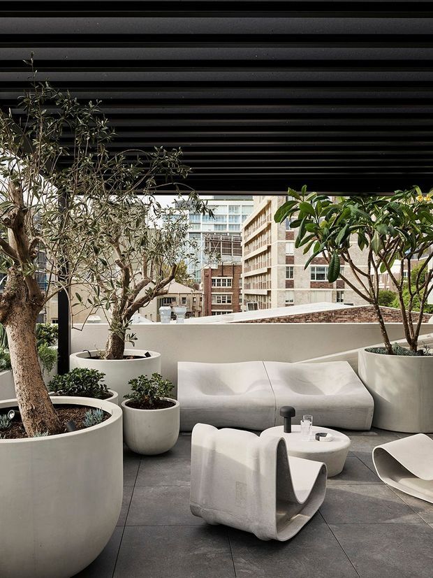 A sophisticated rooftop terrace or balcony lounge beneath a dark horizontal slatted canopy. The space features large sculptural white planters with mature trees, a white curved sofa, sculptural lounge chairs, a low rounded coffee table, and dark large-format tiled flooring. Urban apartment and commercial buildings are visible beyond the parapet, creating a refined city outdoor setting.