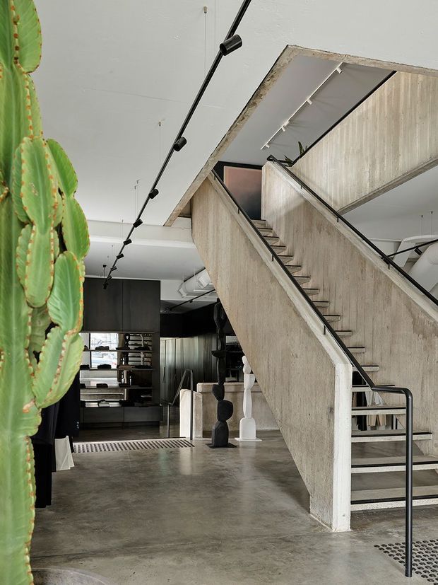 Interior view of a dramatic contemporary multi-level space featuring a raw concrete staircase with black metal handrails, polished concrete flooring, exposed services, track lighting, and dark built-in joinery. A large sculptural cactus and decorative objects add visual interest, while an opening above the stair suggests a mezzanine or upper level.