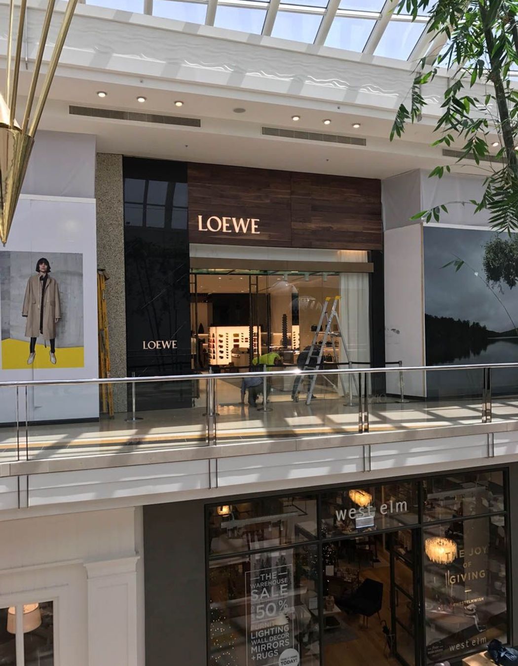Loewe
