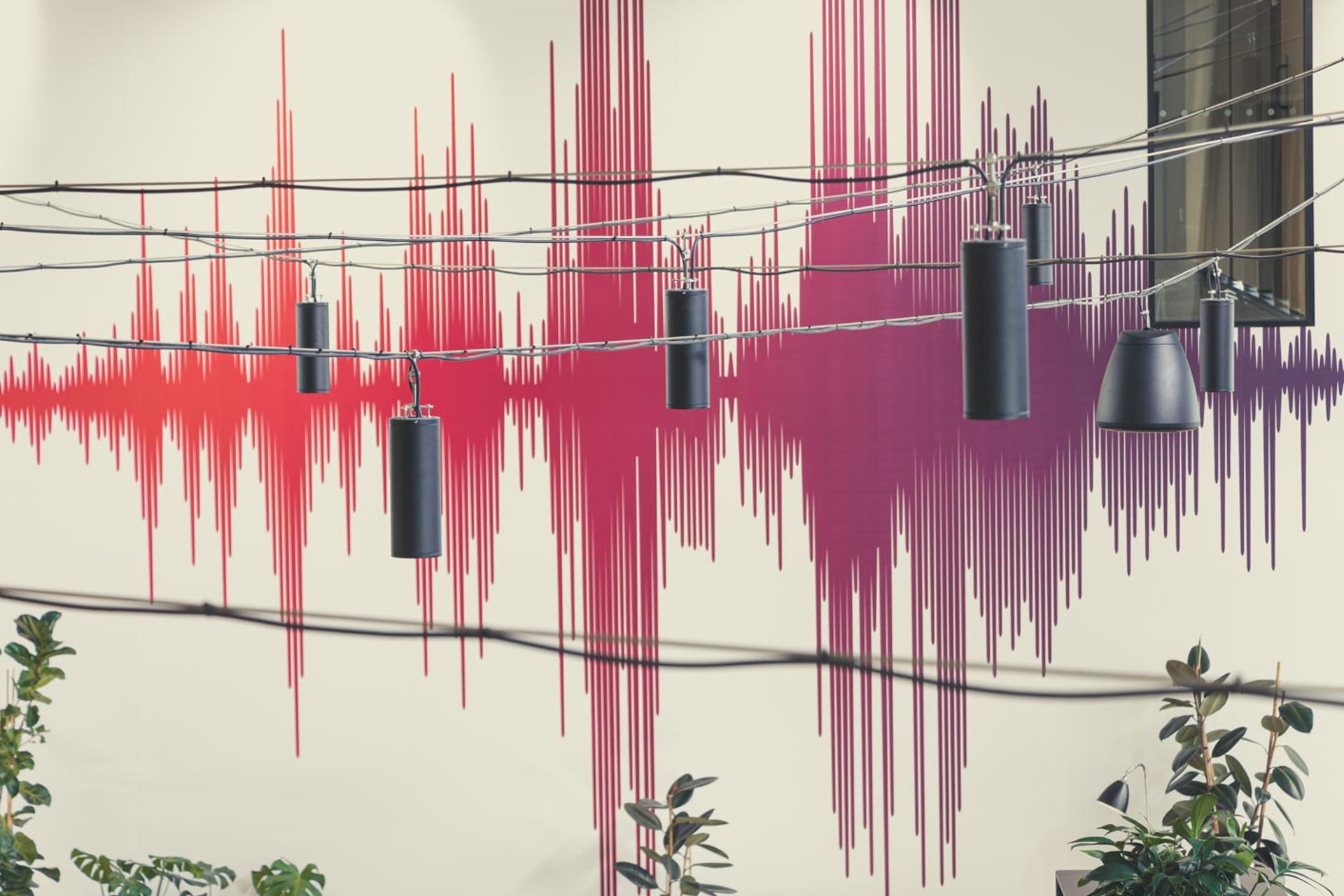 Catenary lighting - Mediaworks Auckland office space