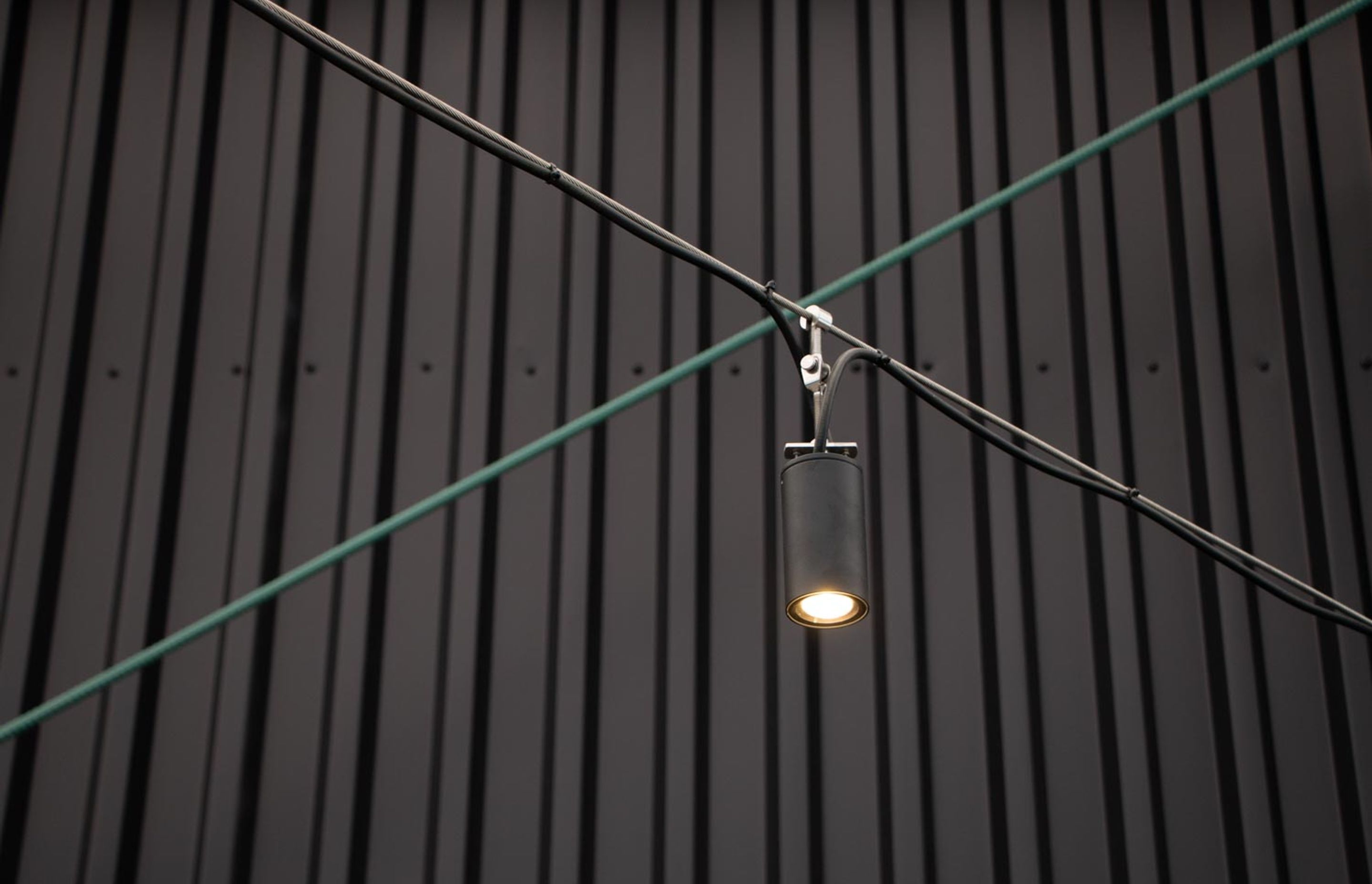 Catenary lighting - Mediaworks Auckland office space