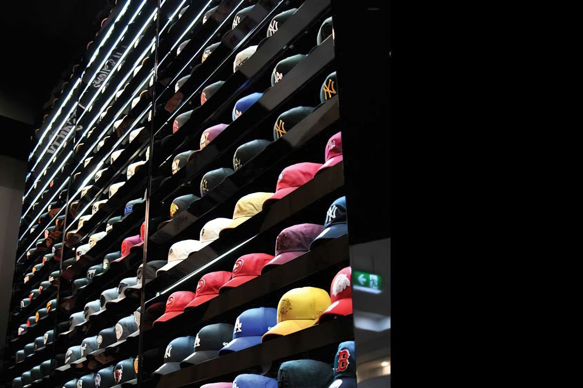 Neglected Society Figtree and Shellharbour