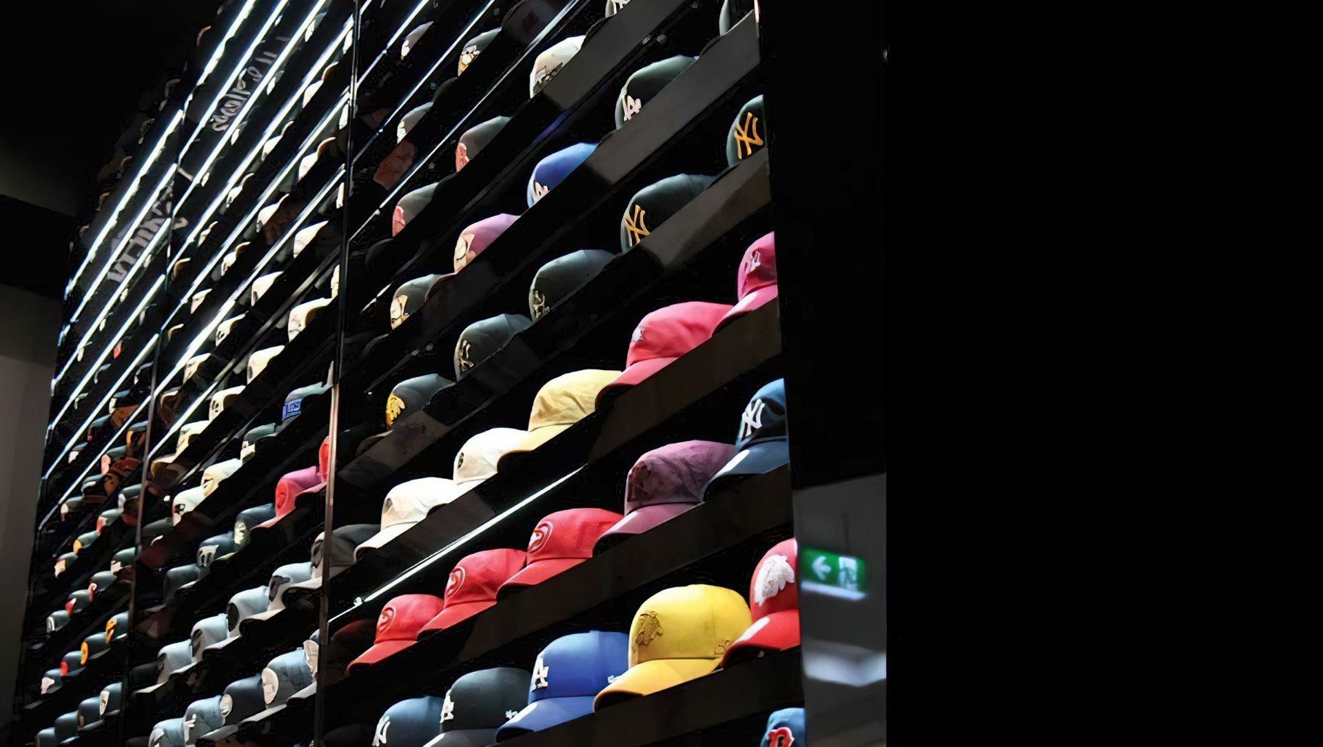 Neglected Society Figtree and Shellharbour banner