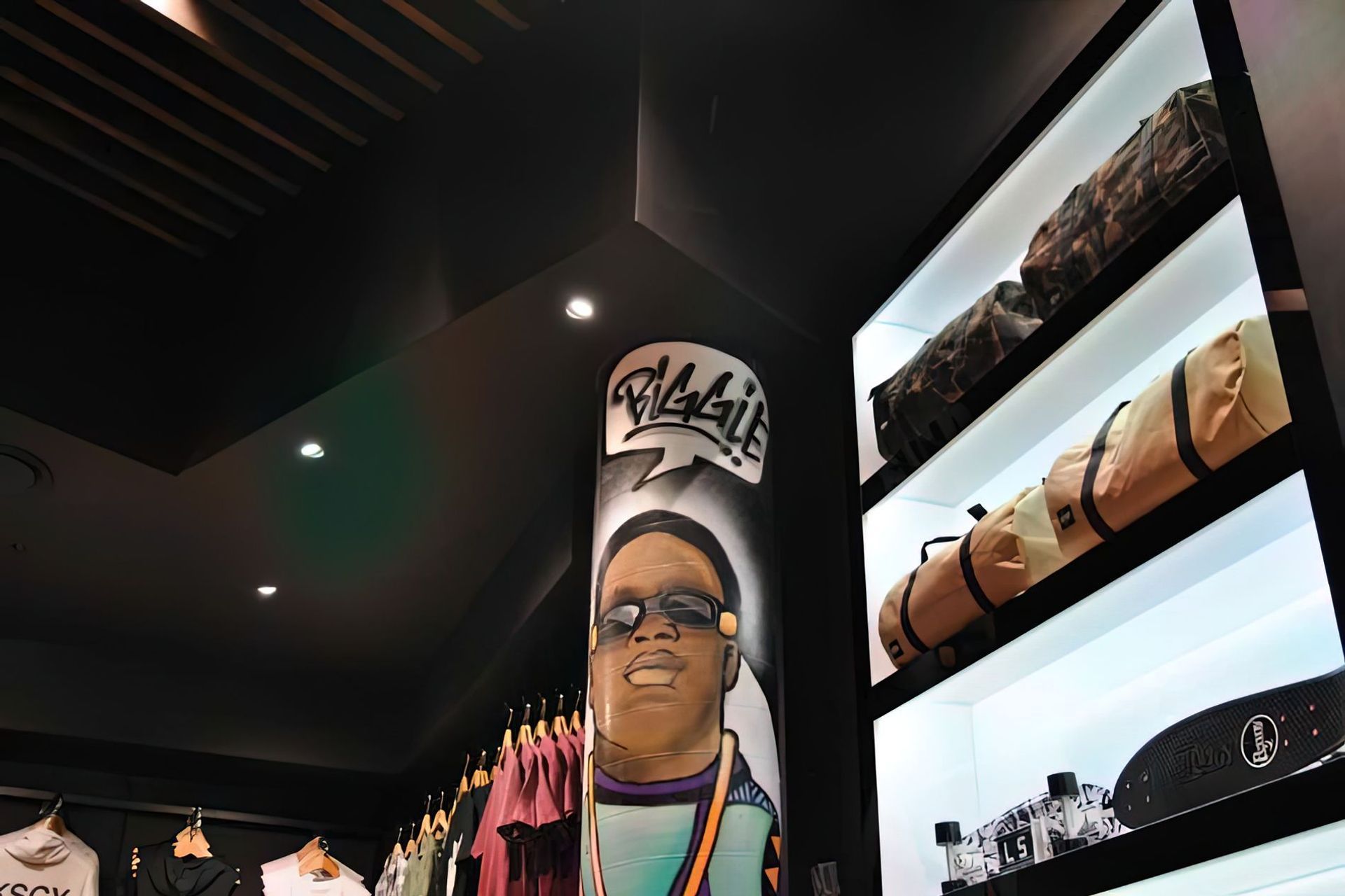 Neglected Society Figtree and Shellharbour