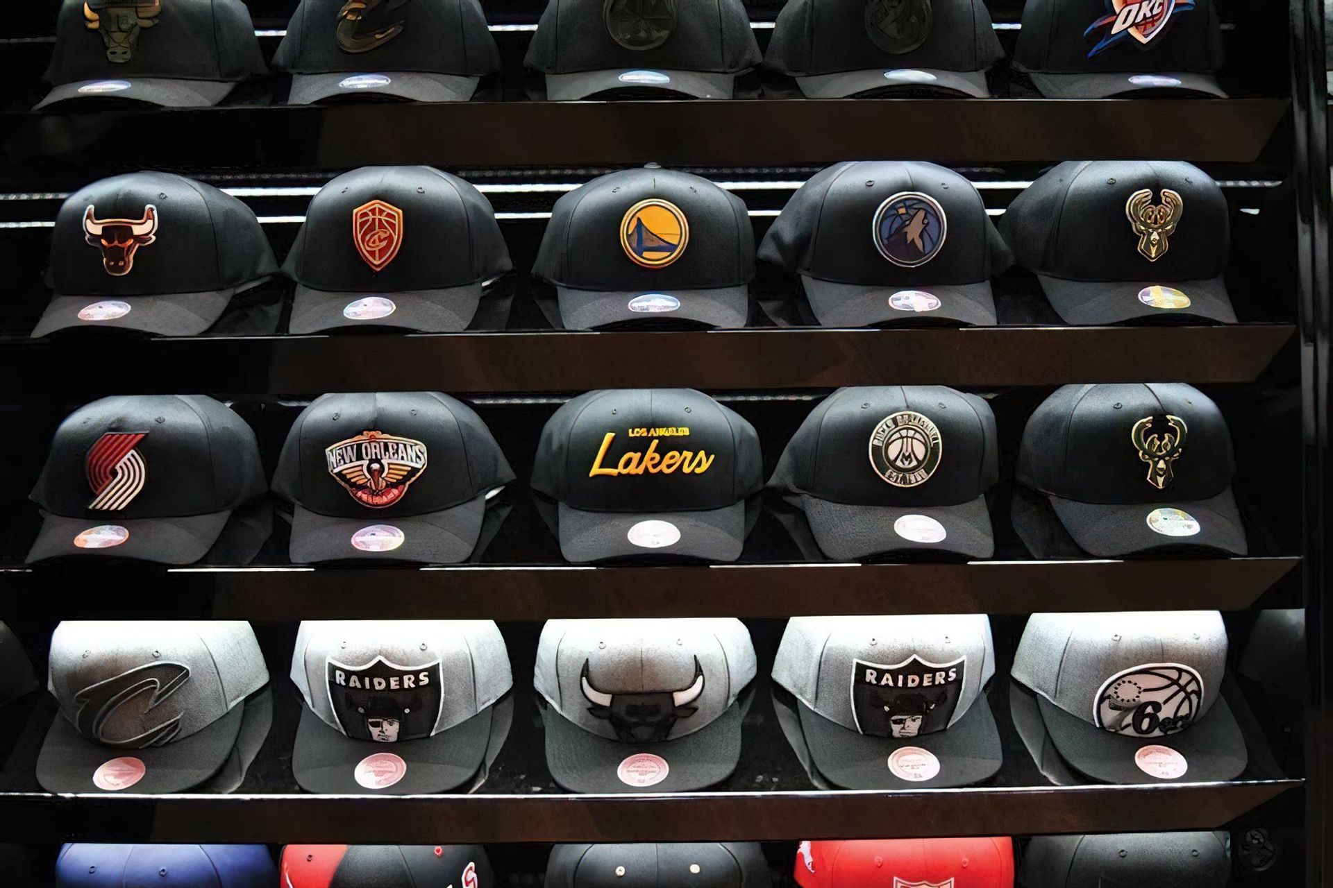 Neglected Society Figtree and Shellharbour