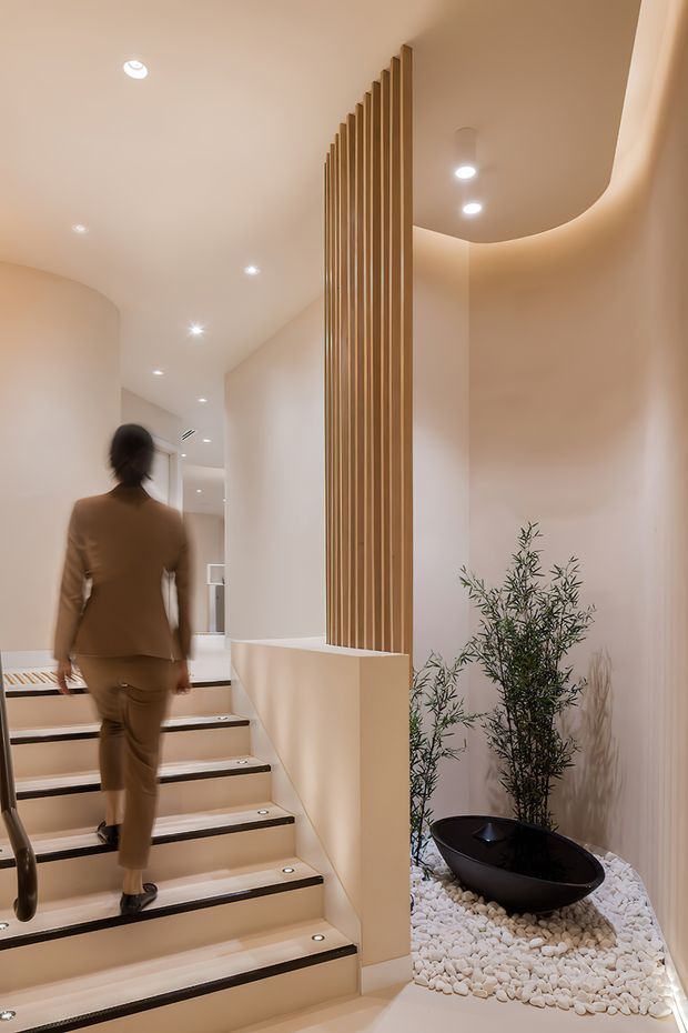 A warm, softly lit residential stairway and hallway interior. Broad pale stairs with dark edging and small recessed step lights rise beside a curved plaster wall. A tall vertical timber-slat screen divides the stair and corridor, while a sculptural black planter with an olive-like plant sits in a bed of white stones beneath concealed cove lighting. The space has a refined, minimalist feel with rounded architectural forms and integrated downlights.