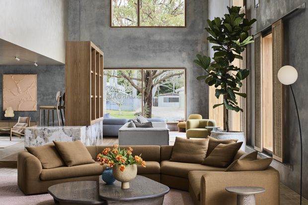 A spacious double-height contemporary living room with a large brown sectional sofa, sculptural coffee tables, lounge chairs, and a central floral arrangement. The room features raw-looking concrete walls, warm timber cabinetry and screens, expansive glazing, a marble-patterned kitchen or bar island, and a tall indoor fiddle-leaf fig. Natural light enters through high windows and full-height glass doors, creating a refined, earthy interior.