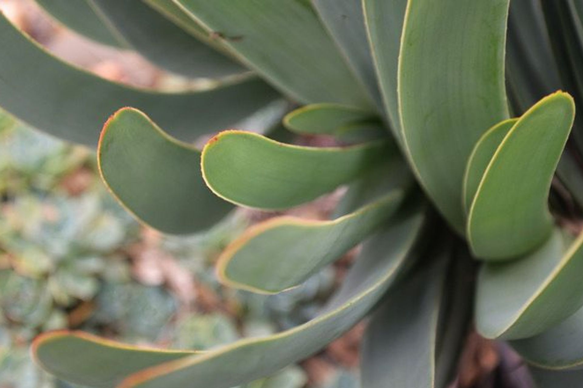 Photography: Kelly Royle Landscape Architecture