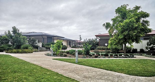 A landscaped suburban residential streetscape showing several single-storey modern homes with low-pitched rooflines, dark brick and rendered facades, broad concrete pedestrian paths, clipped lawns, mature trees, and structured garden beds beneath an overcast sky.