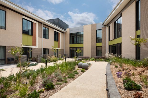 A contemporary multi-wing building arranged around a landscaped central courtyard. The two-storey facade combines pale tan brick, darker brick accents, large black-framed windows, and lime-green horizontal panels. Concrete pedestrian paths curve through low-maintenance planting beds with ornamental grasses, shrubs, and small trees under a bright sky.