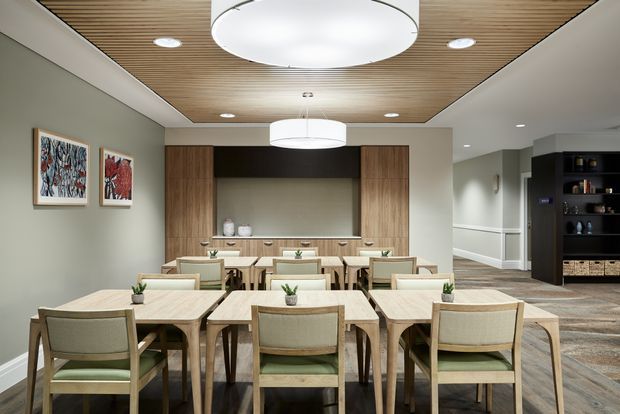 A refined communal dining and lounge area with multiple light timber dining tables and upholstered chairs, a built-in timber buffet and dark display shelving, pale green-grey walls, and a warm slatted timber ceiling. Large circular pendant lights and recessed lighting provide even illumination, while framed artwork and understated accessories add restrained decorative detail.