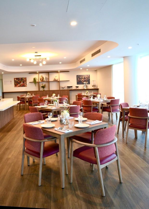 A bright contemporary dining room or restaurant dining area with multiple square wooden tables, red upholstered chairs, and fully set place settings. The room features warm timber-look flooring, a long built-in timber shelving and display wall, recessed ceiling lighting, a decorative pendant light, and a curved white ceiling bulkhead. Large glazing on the right brings in abundant daylight.