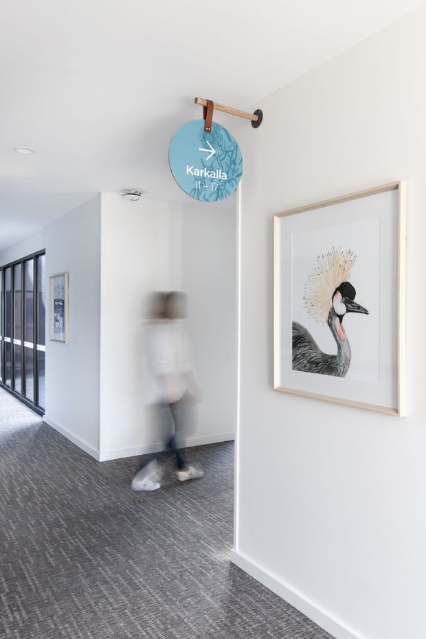 Bright, minimalist interior hallway with white walls, grey patterned carpet, extensive dark-framed glazing along the left side, and framed artwork. A round blue wall clock with a timber hanging strap is mounted above the corridor junction, while a blurred person walks through the space.