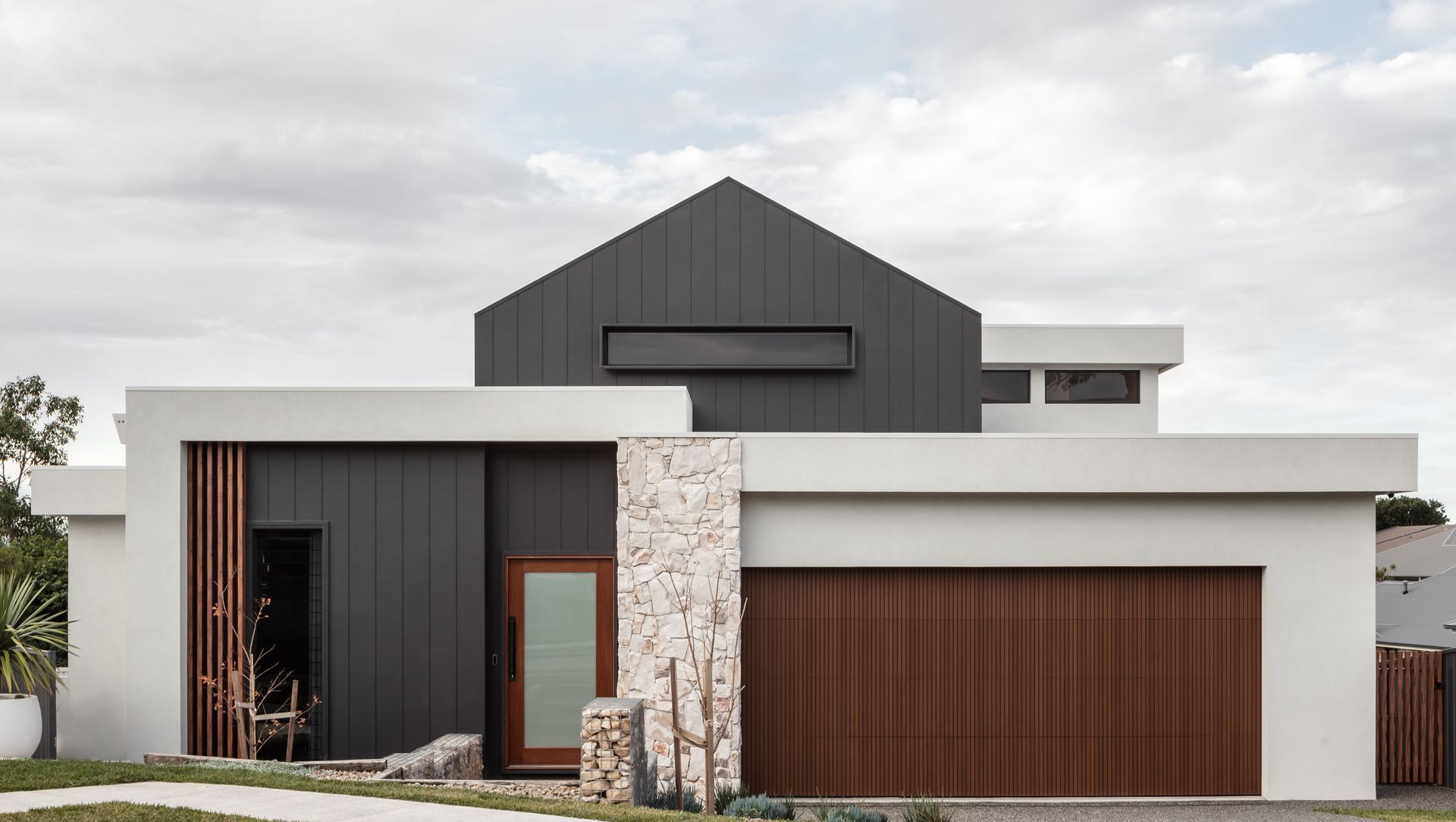 Saddleback Beauty banner