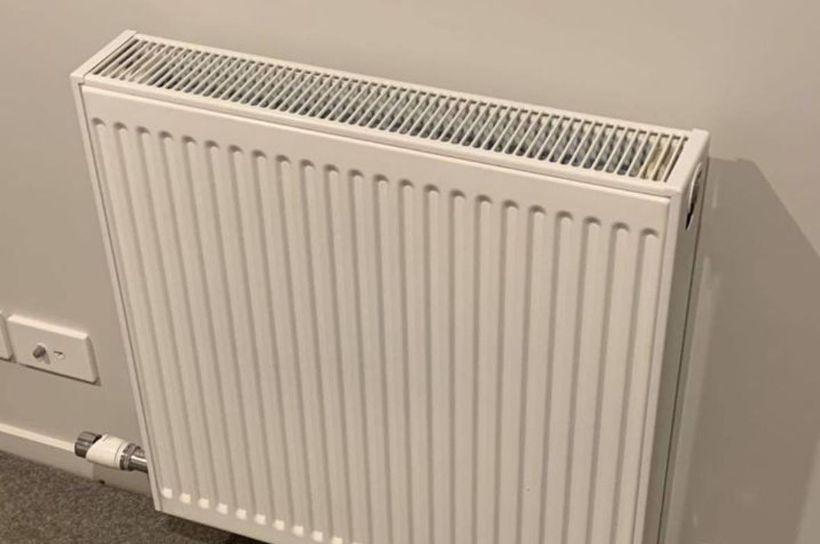 Clarks Beach - Sleepout