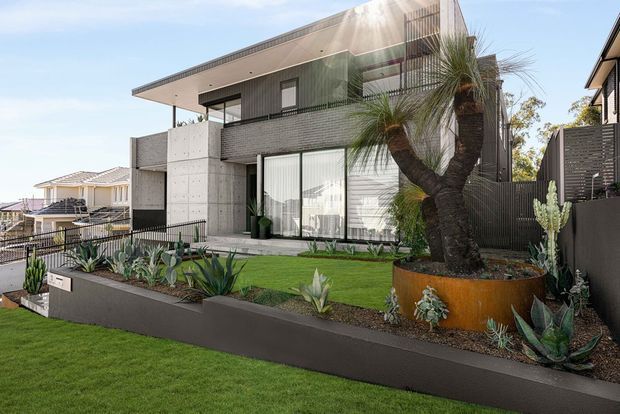 A modern multi-level residential house photographed from the landscaped front garden. The home has a flat roof with broad overhangs, dark vertical cladding, exposed concrete walls, extensive glazing, and a balcony with a dark metal balustrade. The minimalist drought-tolerant garden includes succulents, cacti, ornamental palms, raised planter walls, and a neatly maintained lawn. Bright sunlight creates a crisp, contemporary outdoor presentation.