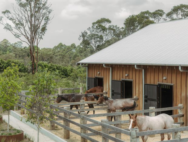 Exterior view of a timber-clad rural stable or equestrian building with a pale pitched metal roof, multiple individual horse stall openings, and fenced paddocks containing several horses. The building sits within a lush, wooded landscape under an overcast sky.