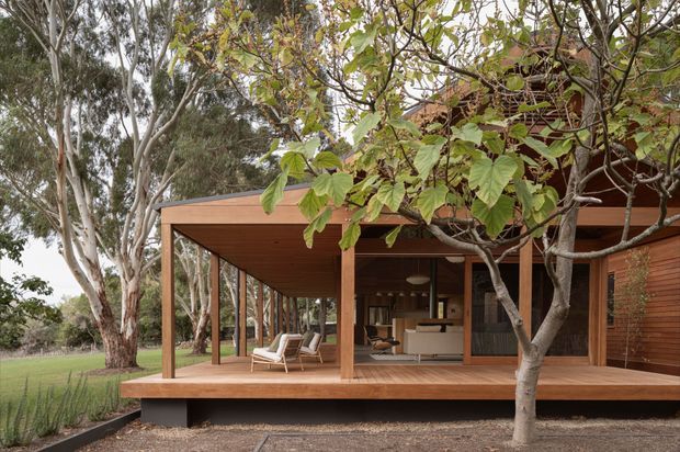 A low, contemporary timber-clad house set within a leafy landscape, viewed from the front of a broad covered deck. The deck has a flat projecting roof, timber posts, warm timber soffit and decking, and large glazed openings revealing a simply furnished living area. Mature eucalyptus and broad-leaf trees frame the house, with open lawn extending to the left.