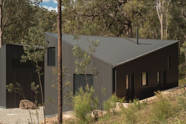 A compact dark-clad modern house set among native woodland on a gently sloping site. The building has a simple low-pitched roof, vertically ribbed metal wall cladding, dark louvred shutters or screens, and narrow vertical windows. Gravel and planted grasses surround the house, with mature trees forming the natural setting.