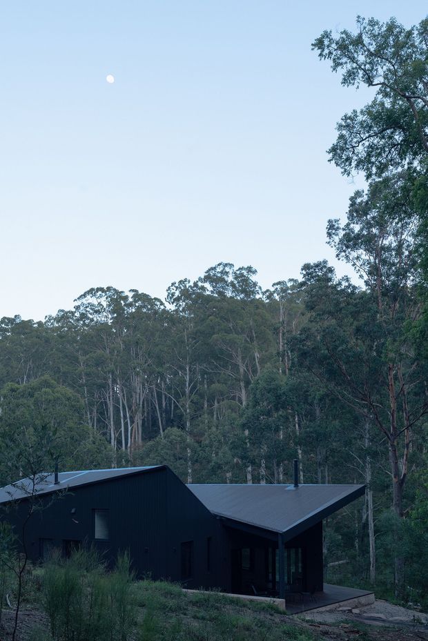 Exterior view of a compact dark-clad house nestled among dense eucalyptus woodland. The building has a low, angular form with intersecting pitched roof planes, dark vertical cladding, limited glazing, and a small entry terrace. The scene is photographed at dusk or in cool evening light, with a pale sky and forested setting dominating the background.
