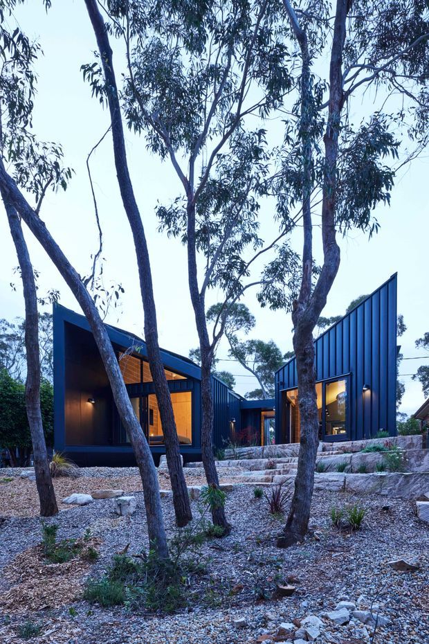 Exterior view of a contemporary single-storey home set among established eucalyptus trees on a rocky, landscaped site. The dark blue-black metal-clad buildings have angular pitched or folded roof forms, extensive warm-lit glazing, and stepped stone retaining walls with gravel and native planting.