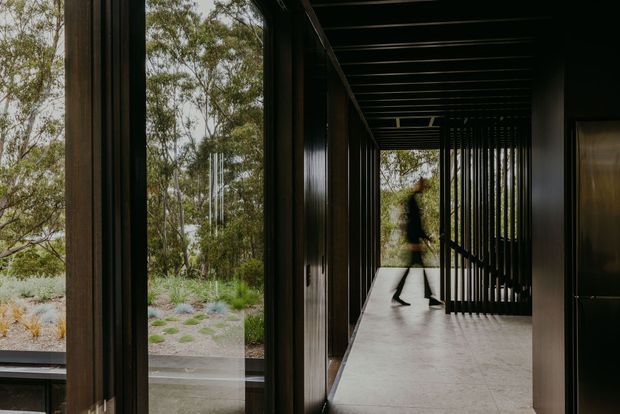 A dark, sophisticated architectural corridor with full-height glazing on one side overlooking a landscaped native garden. Black vertical screening, timber-toned wall panels, a pale polished floor, and exposed linear ceiling beams create a dramatic indoor-outdoor passage.