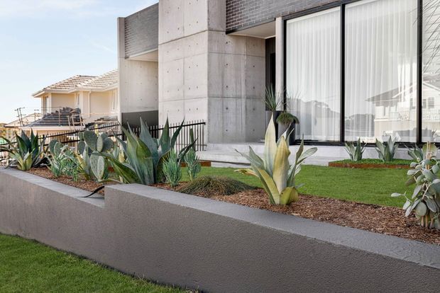 Exterior view of a contemporary concrete residence with large black-framed glazed doors, a grey brick upper wall, and a landscaped front garden featuring sculptural succulents and raised rendered planter walls. A neighbouring tiled-roof home is visible in the background.