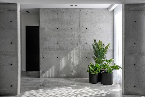 Minimalist interior hallway or entry space with exposed board-formed concrete walls and columns, a large grey tiled floor, recessed ceiling lights, and sheer floor-to-ceiling glazing at right. Potted green plants add a natural accent, while strong daylight creates shadows across the floor.