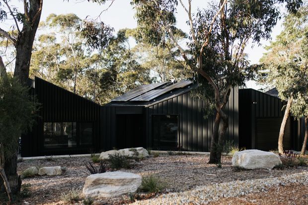 Exterior view of a low-profile contemporary house set among mature eucalyptus trees. The building has dark vertical metal cladding, multiple pitched roof forms, extensive dark-framed glazing, and a naturalistic gravel landscape with large pale boulders.