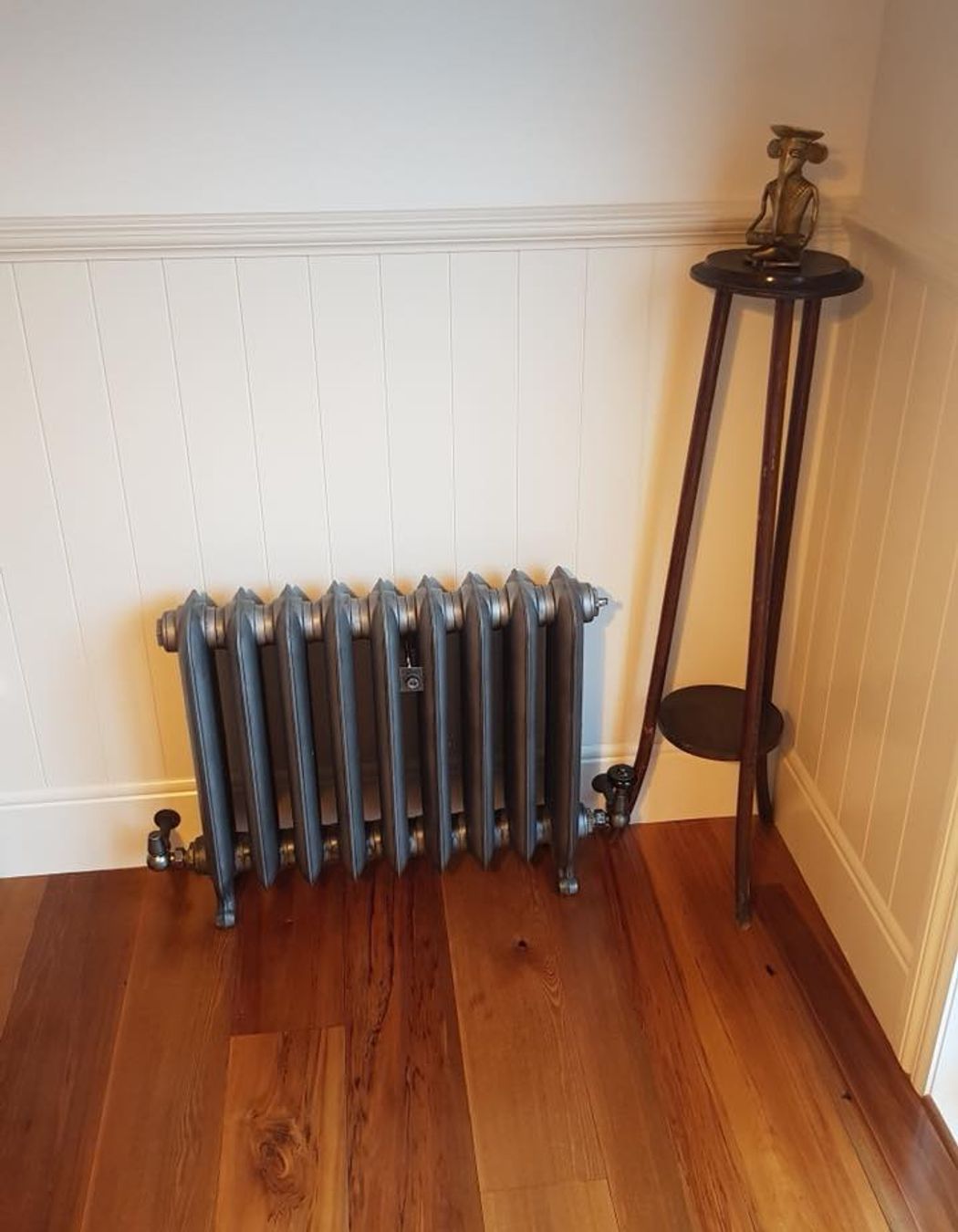 Wanaka Home - Paladin Radiators