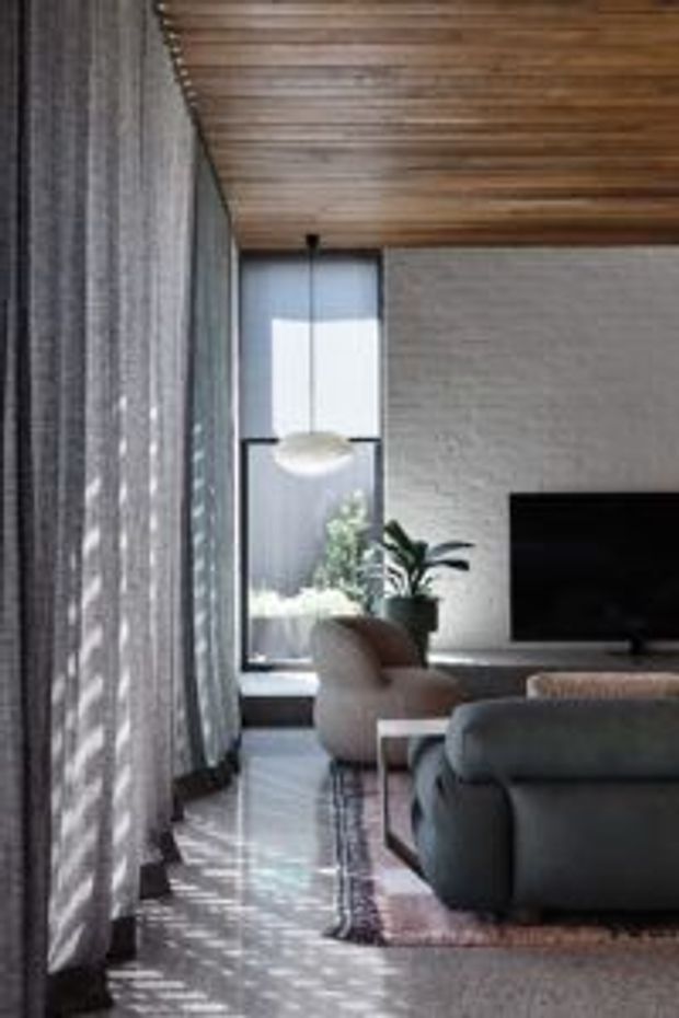 A refined contemporary living room viewed from beside full-height sheer curtains. The space features a dark grey upholstered sofa, sculptural lounge chair, large black television, potted plant, textured light-grey wall, extensive glazing, and a warm timber slatted ceiling. Soft daylight creates patterned shadows across the floor and furnishings.