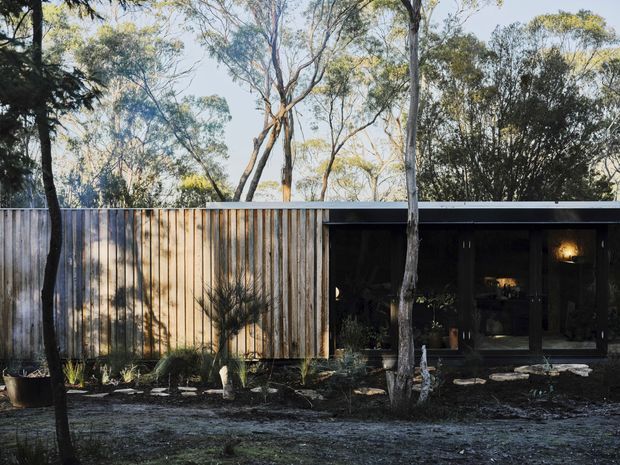 A low, single-storey modern house set among mature eucalyptus trees and native landscaping. The facade combines vertical timber cladding with a dark recessed glazed living area beneath a simple flat roof. A natural, shadowed garden and stone-edged path lead toward the entrance.