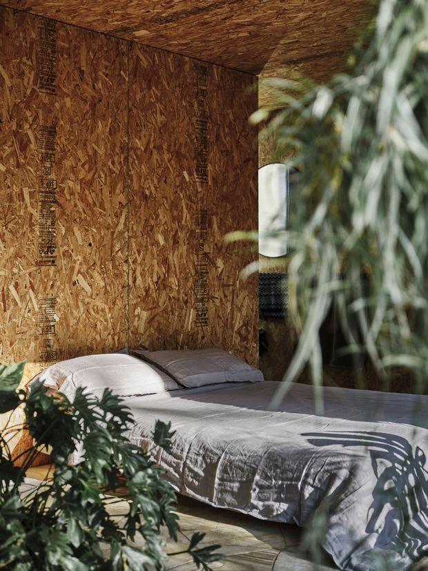 A compact bedroom with a low bed dressed in pale grey bedding, enclosed by exposed oriented strand board (OSB) wall and ceiling panels. Strong daylight filters through abundant greenery in the foreground, casting organic shadows across the bed and floor. The room has a raw, utilitarian construction aesthetic softened by natural textures and plants.