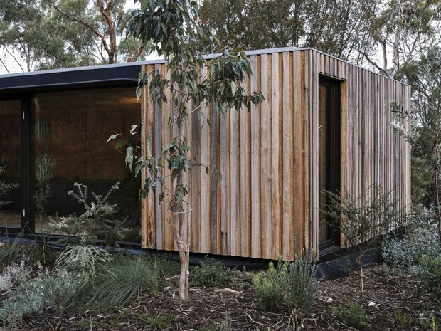 A compact modern cabin-like building set within native bushland, featuring a boxy form, dark low-pitched roof, extensive dark-framed glazing, and vertical natural timber cladding. Low-maintenance native landscaping surrounds the structure, while the open glazed section reveals a warm timber-lined interior.