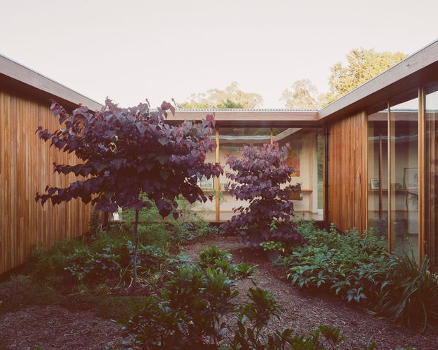 A warm timber-clad courtyard framed by low, single-storey wings with shallow pitched or skillion rooflines. Full-height glazing and timber-framed windows open the building onto a densely planted garden, with a gravel or mulch path leading through the central courtyard. The image has a calm, organic character and emphasizes the relationship between architecture and landscape.
