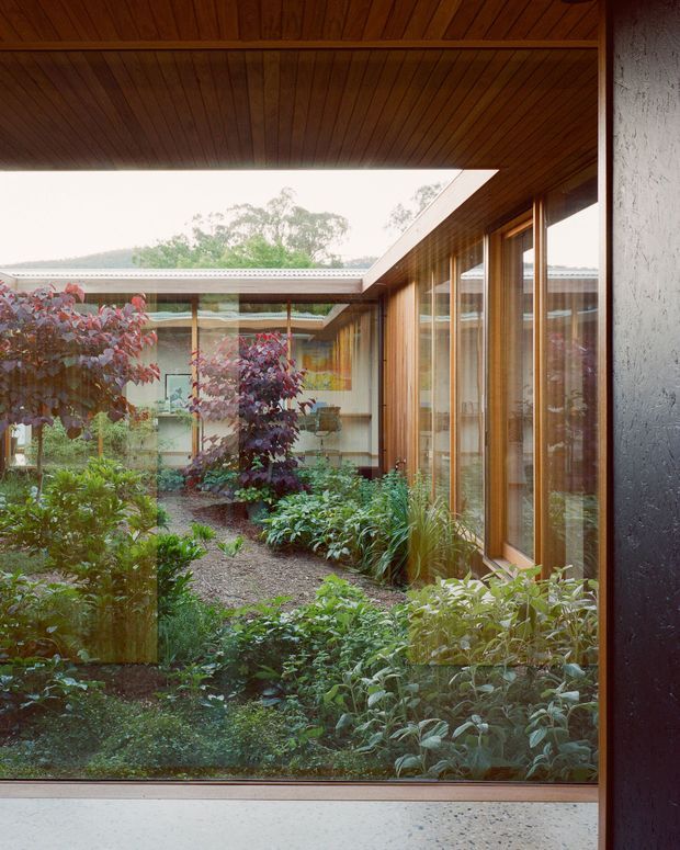 A view from inside a contemporary building toward a landscaped internal courtyard. Large floor-to-ceiling timber-framed glazing opens the room visually to dense planting, while a projecting timber-lined soffit forms a sheltered covered edge around the courtyard. The scene has a warm, natural material palette and strong indoor–outdoor connection.