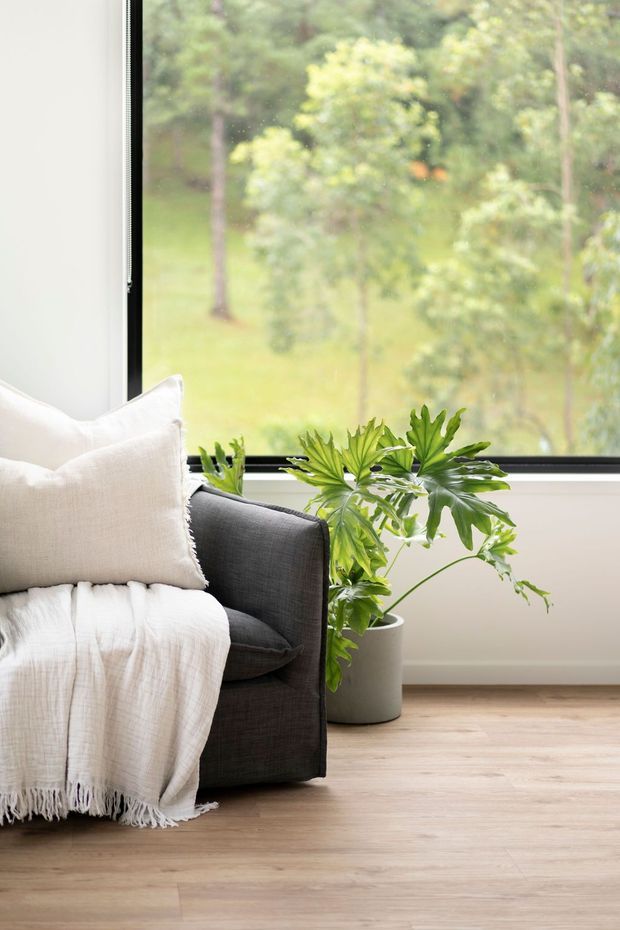 Bright, calm interior vignette featuring a dark charcoal upholstered armchair beside a large black-framed window, with a cream linen cushion and fringed throw. A leafy potted plant sits on light timber flooring, with a soft green garden view beyond the glazing.