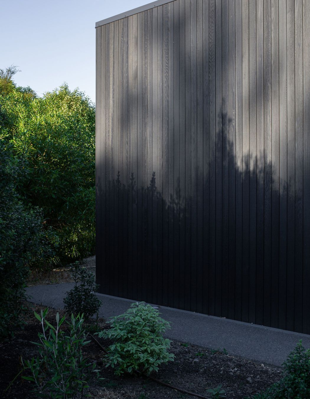 Black Barn J & D House