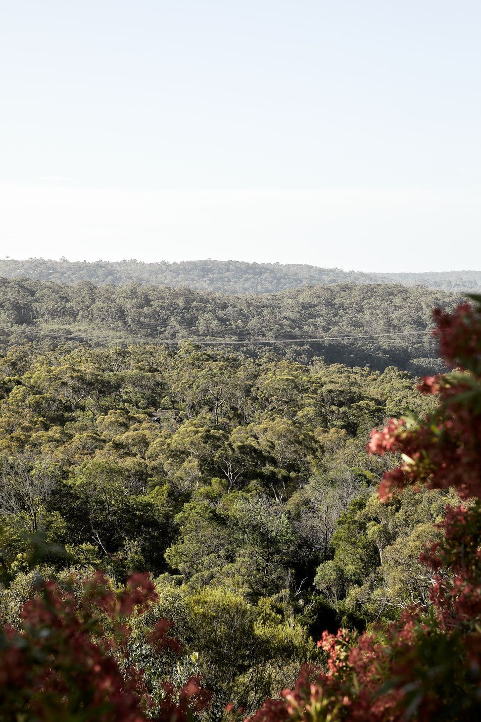 HornsbyHeights-27112020-33-min.jpg