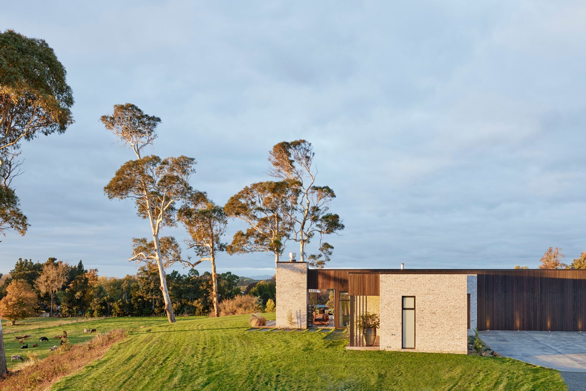 Architecto -  Horotiu House