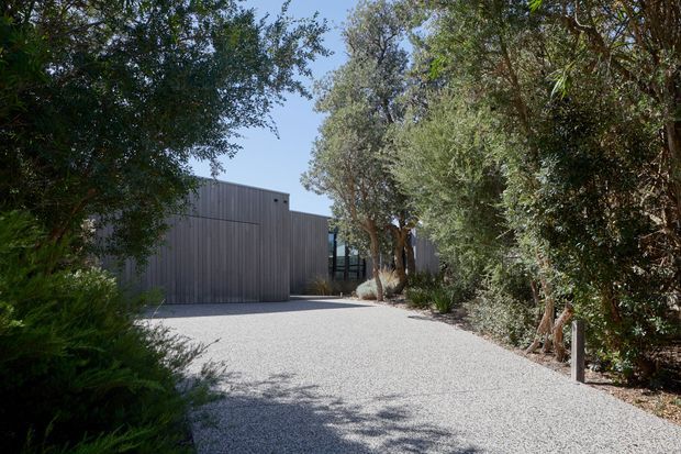 A quiet landscaped exterior approach with a broad light gravel driveway or forecourt leading toward a low modern building. The building is clad in vertical dark grey timber or metal boards, partly screened by mature trees and dense planting. A simple timber post-and-rail element lines the right edge, while strong sunlight creates dappled shadows across the gravel.