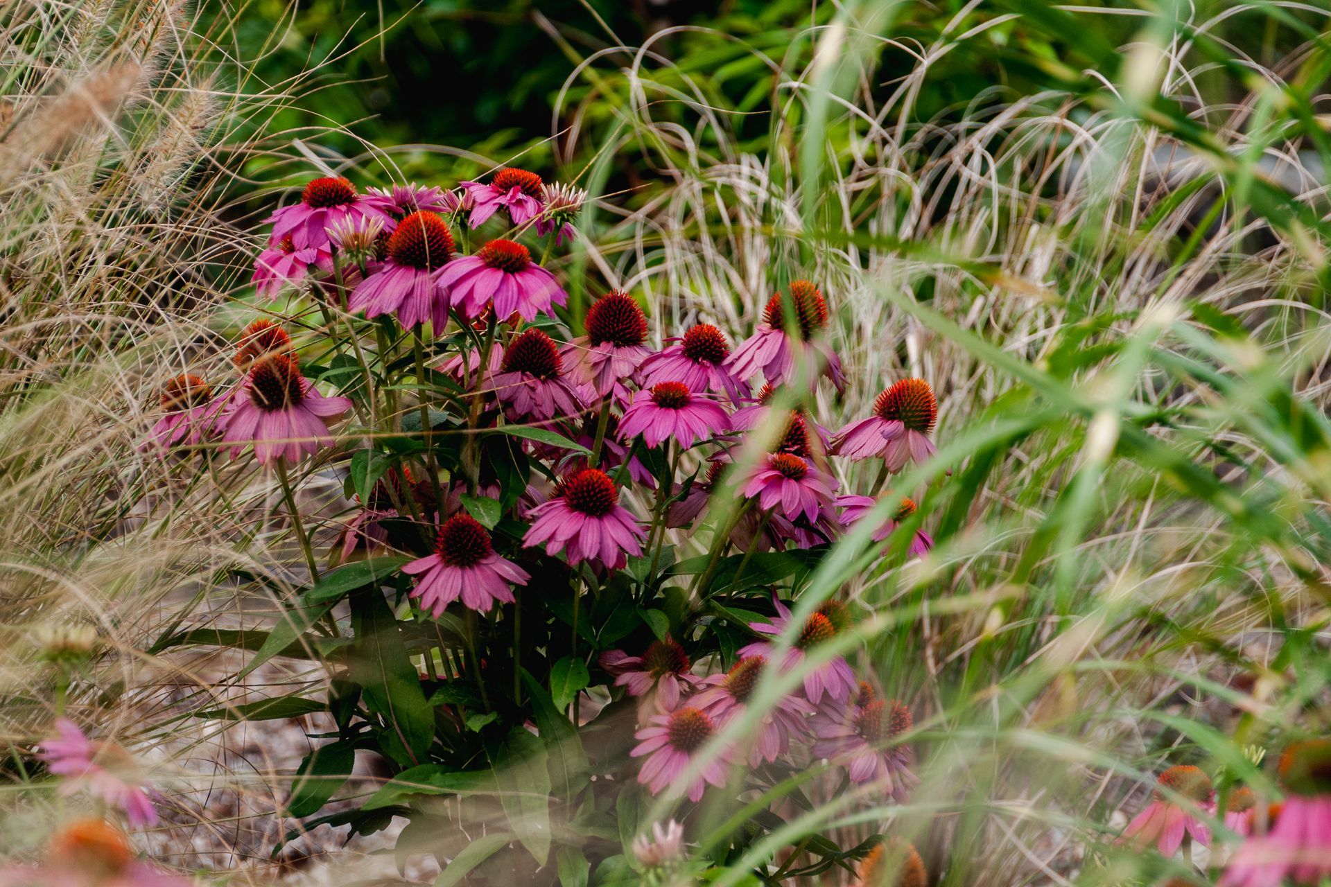 The Faithfull House &amp; Garden