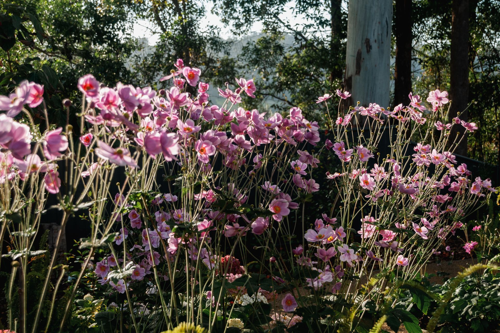 The Faithfull House &amp; Garden
