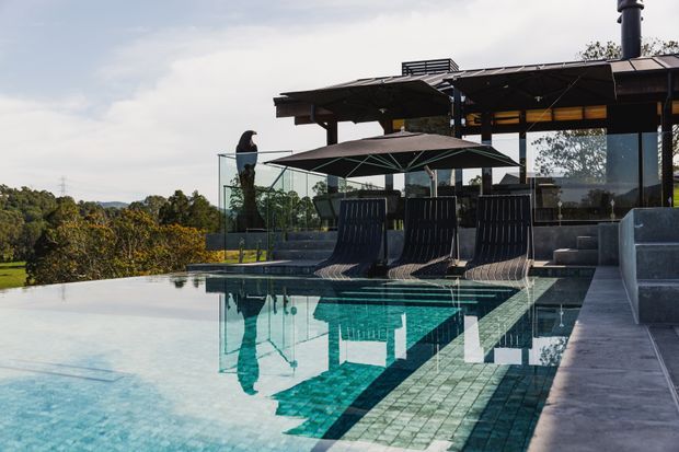 Modern outdoor pool terrace beside a contemporary pavilion, with an infinity-style swimming pool, dark sculptural lounge chairs, umbrella, glass balustrades, concrete steps, and a covered outdoor entertaining area overlooking a wooded landscape.